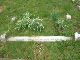 image of grave number 191358